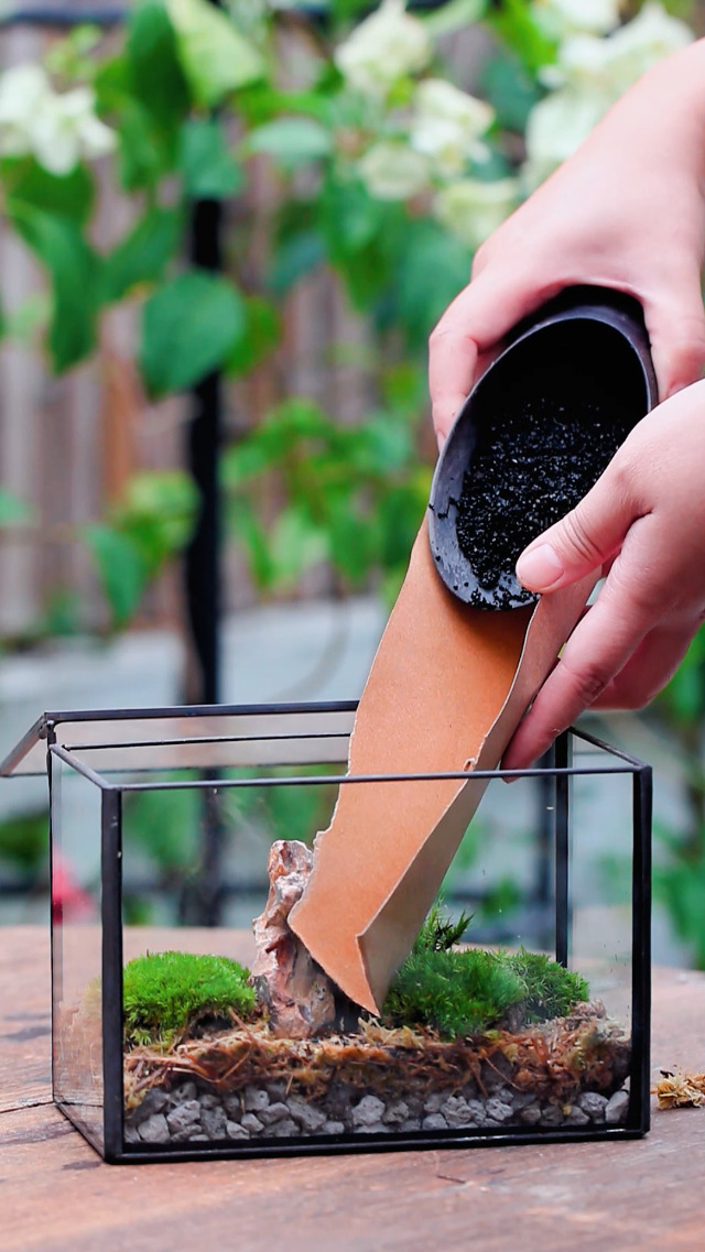 Amazon.com: NCYP Small Rectangle Glass Terrarium Planter with Lid